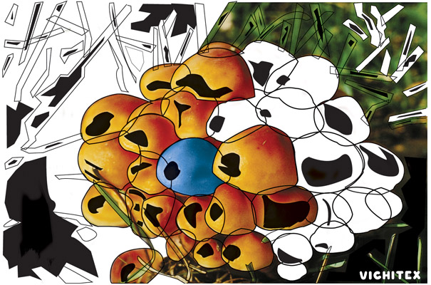 Pronto Version Flash